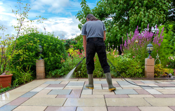 Best Winterizing Services  in Clayton, GA